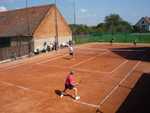 tenis
